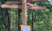 Percorso Marcia Brain-sur-Allonnes - BALADE BRUN SUR ALLONE DANS LA FORÃT  - Photo 8