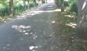 Trail Walking Villandry - villandry - Photo 1