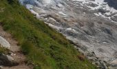 Tocht Stappen Chamonix-Mont-Blanc - monté au refuge Albert 1er - Photo 8