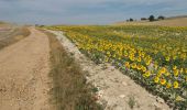 Tocht Stappen Burgos - Hornillos del Camino  - Photo 2