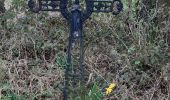 Tour Wandern Havelange - Gros Chêne - Photo 2
