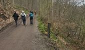 Tocht Noords wandelen Wezet - julienne - Photo 10