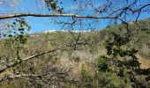 Trail Walking Saint-Cézaire-sur-Siagne - Chapelle Saturnin et bord de Siagne - Photo 5