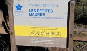 Randonnée Marche Roquebrune-sur-Argens - les petites maures Roquebrume s Argens - Photo 2