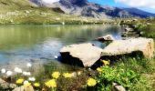 Tour Wandern Freissinières - Lac de Palluel, Faravel et Fangeas Via Dormillouse - Photo 16