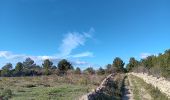 Trail Walking Leucate - leucate . franki plage . leucate - variante - Photo 4