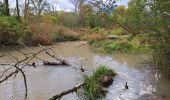 Excursión Senderismo Doussard - Réserve du bout du lac - Photo 8