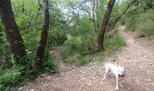 Tocht Stappen Gordes - roundwalk sénanque AND village bories - Photo 14