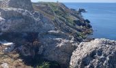 Trail Walking Camaret-sur-Mer - Camaret - Photo 4