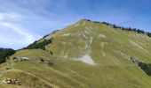 Tour Wandern Faverges-Seythenex - POINTE DU VELAN - Photo 4