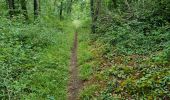 Trail Walking Chamarande - Lardy - Le Lièvre d'Or - Photo 14