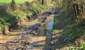 Randonnée Marche Boursay - Boursay - Le Moulin des Gaults - Photo 17