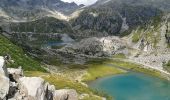 Randonnée A pied Pinzolo - Sentiero della Canavaccia e guida Dellagiacoma - Photo 7