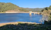 Excursión Senderismo La Môle - La Mole - Barrage de la Verne  - Photo 3