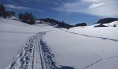 Tour Schneeschuhwandern La Pesse - L'Embossieux-La Croix des couloirs-La Pesse - Photo 13