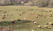 Trail Walking Courmes - Courmes  - Photo 9
