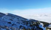 Tocht Stappen Chamrousse - la grande moucherolle et la petite  - Photo 6