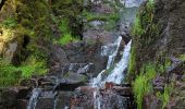 Excursión Senderismo Oberhaslach - Le Nideck, entre ruines et cascades - Photo 8