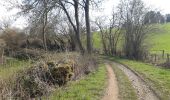 Randonnée Marche Theux - hodbomont . vieux cortil . jevoumont . hodbomont  - Photo 3