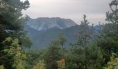 Percorso Marcia Le Vernet - LE VERNET . COL DU MAL D HIVER . COL DU LABOURET . O L M  - Photo 9