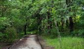 Tour Wandern Le Lamentin - Parcours de santé du morne Cabri  - Photo 6