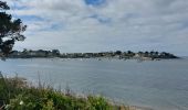Tocht Stappen Arzon - PR_56_Arzon_AA_01_Pointes-Du-Golfe_Circuit1b_20230501 - Photo 11