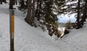 Trail Walking Autrans-Méaudre en Vercors - Pas de l'Ours - Photo 10