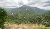 Trail Walking Rogues - Madières - Photo 2