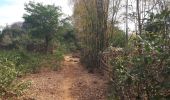 Trail Walking ບ້ານ ບັງເຢາະ - NKM Ban Bangyor - Photo 5