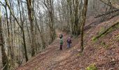 Trail Walking Confolent-Port-Dieu - Confolent et Monestier - Photo 6