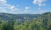 Tocht Stappen Monschau - Autour et dans Monschau - Photo 5