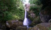 Tocht Te voet The Municipal District of Wicklow - Waterfall Walk - Photo 2