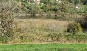 Tour Rennrad Yenne - circuit des vignes Yenne - Photo 1