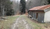 Tour Wandern Saou - Tour de la Forêt de Saoû - Photo 9