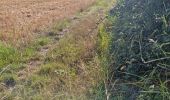 Trail Walking Reugny - Reugny - Vignes et Brenne - Photo 10
