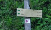 Trail Walking Arâches-la-Frasse - Boucle les Carroz Pointe de Cupoire - Photo 11