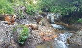 Trail Walking Chambon-sur-Lac - Cascade du Moine dans la vallée de Chaudefour - Photo 6