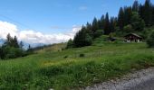 Excursión Senderismo Arâches-la-Frasse - boucle les Carroz, la forêt d'Araches, Cretoral, retour par la pierre a Laya - Photo 19