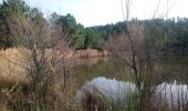 Tocht Stappen Roquebrune-sur-Argens - sentier au fil de l'eau  - Photo 4