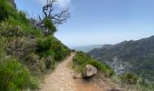 Tocht Te voet Ilha - Vereda do Areeiro (Pico Areeiro – Pico Ruivo) - Photo 7