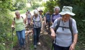 Trail Walking Plourivo - Le leff 26 07 2021 - Photo 6