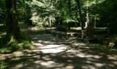 Trail Walking Saissac - le lampy - Photo 20