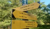 Tour Wandern Cruis - CRUIS . L ESPINASSE . DEFEND DES BOEUF . JAS ROCHE . O S L - Photo 9