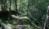 Trail Walking Dourbies - Dourbies -Meyruis 23 km - deuxième étape tour du mont Aigual - Photo 15