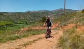 Percorso Mountainbike Tremp - Tremp 30,5km - Photo 16