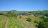 Tour Wandern Dienne - Cantal - le Chaumeil - Dienne et Rocher de Laqueille - 9km 265m 2h50 - 2019 07 05 - Photo 1