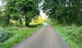 Trail Walking Vivières - en Forêt de Retz_88_autour du Regard Saint-Hubert et du Rond de la Reine - Photo 3