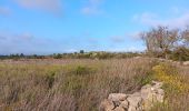 Tour Wandern Leucate - plateau de leucat sud-est sans grand route  - Photo 1