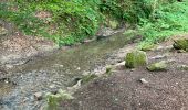 Excursión Senderismo Ham-sur-Heure-Nalinnes - Jamioulx OT Walkers - Photo 4