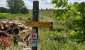 Trail Walking La Chaise-Dieu - Le serpent d'or - Photo 2